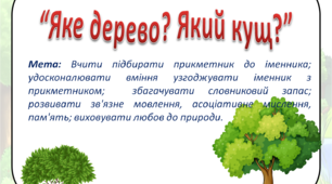Дидактична гра «Яке дерево? Який кущ?»