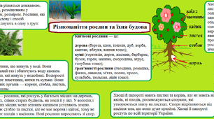 Тема "Різноманіття рослин". Опорна схема
