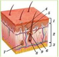 03009ehx-69ee-200x192.png