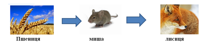 03009fo9-4225-666x151.png