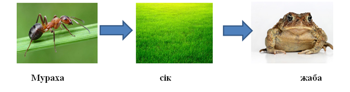 03009foc-517b-688x182.png