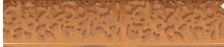 03009gn7-35e1-224x47.png