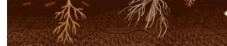 03009gn9-1395-227x46.png