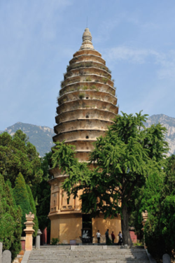 03009jr9-738d-250x376.png
