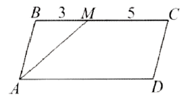03009nml-a159-277x138.png