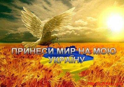 03009nvv-1a3e-734x517.jpg