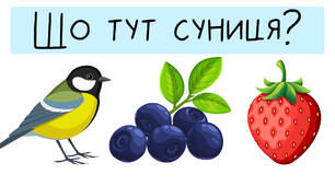 (Копія) Вчимо українські слова та діалекти