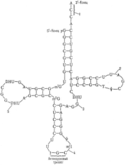 03009q3g-3b97-125x165.png