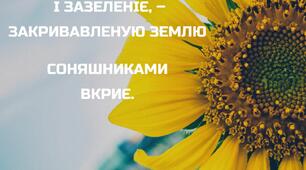 Українська весна. Дидактичний матеріал. Постери волі українського народу!