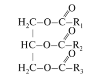 03009sn1-2e12-208x152.png
