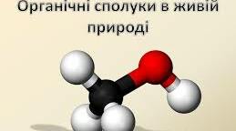 Тест  Органічні сполуки (підготовка до ЗНО)