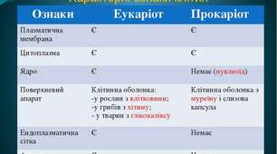 Особливості організації клітин еукаріотів