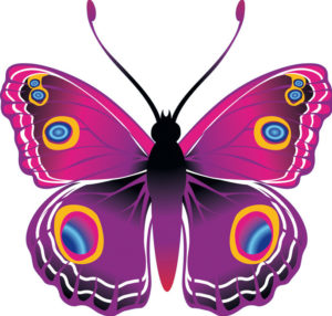 03009wuq-b9c8-300x286.png