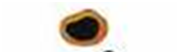 0300a2ni-643f-179x54.png