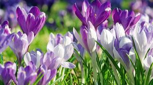 Заспіваймо пісню за Україну