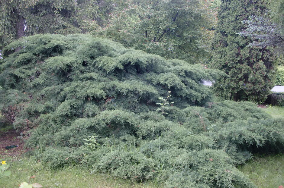 0300a86e-9579-940x624.jpg