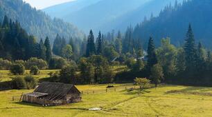 Українські Карпати