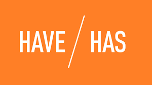 Тест " Have, has"