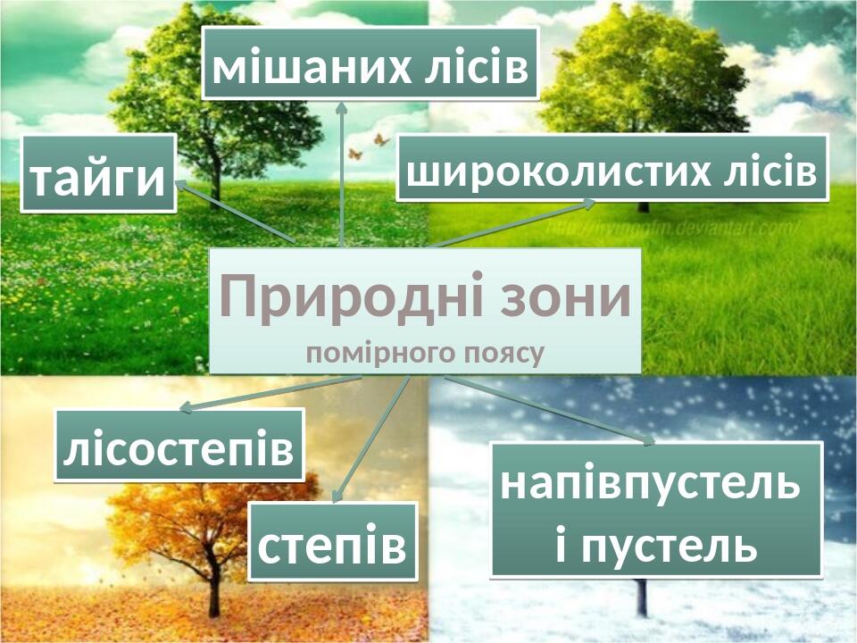 помірний кліматичний пояс 4 клас