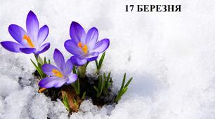 НАВЧАЛЬНІ ЗАВДАННЯ НА 17 БЕРЕЗНЯ
