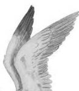 0300ablm-5766-115x131.png