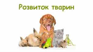 Індивідуальний розвиток тварин