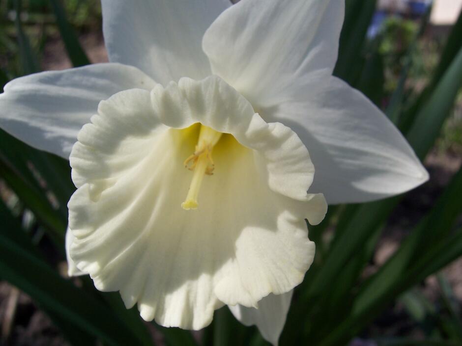 0300age1-3b18-940x705.jpg
