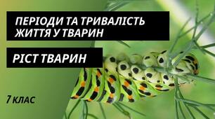 Тривалість життя, ріст тварин