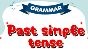 Past Simple (negative and interrogative sentences)