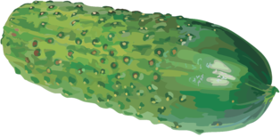 Огурец PNG