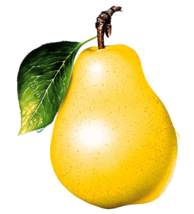груша PNG фото