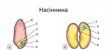 0300ao2d-76c4-355x167.jpg
