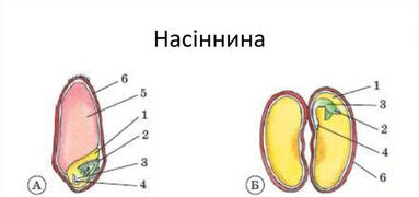 0300ao2p-ca5e-383x180.jpg
