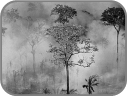 0300ao8k-eacd-127x96.png