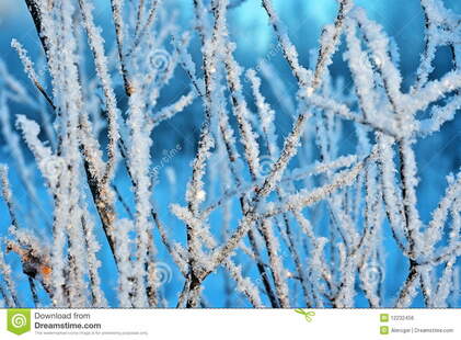 0300aod9-cbdf-421x310.jpg
