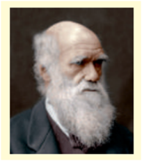 0300apne-6a0e-204x231.png