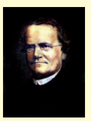 0300apnm-a694-182x241.png