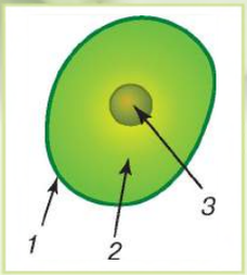 0300aq98-7d7d-228x253.png