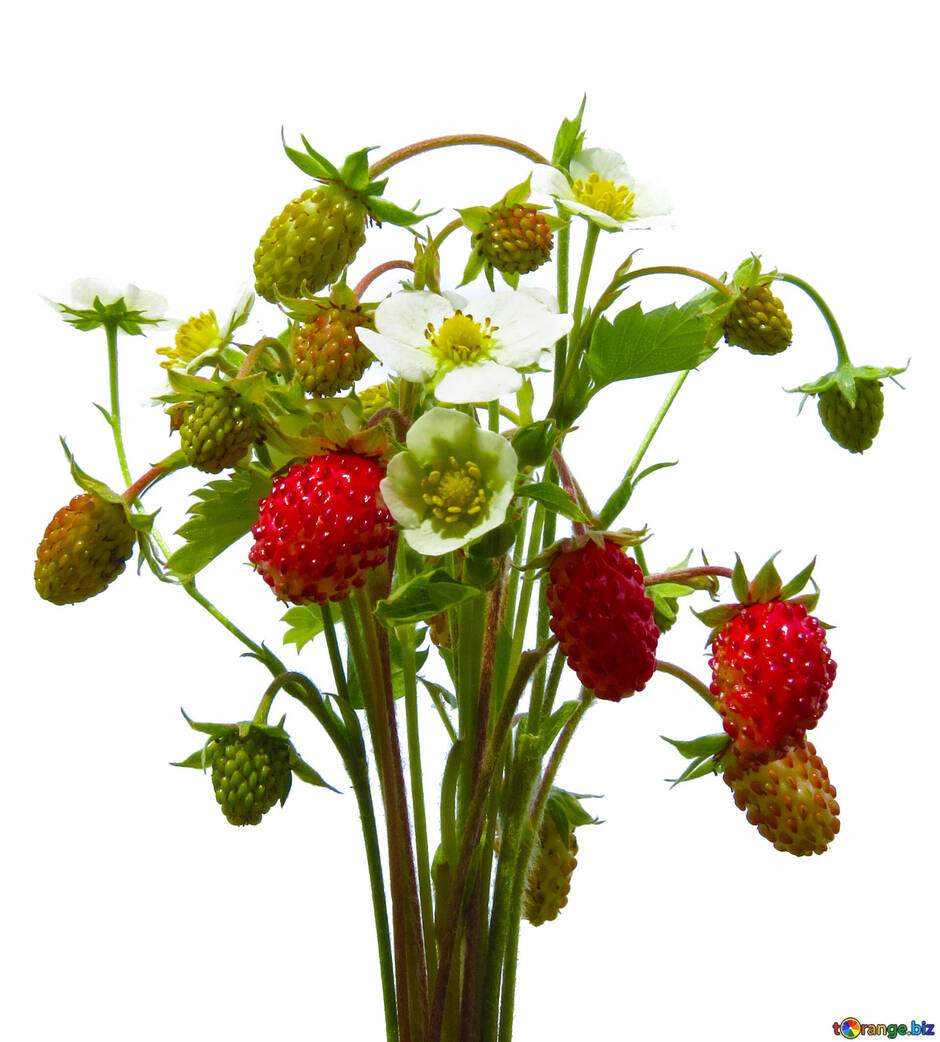 0300awnc-be5b-940x1042.jpg
