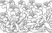 0300ax34-6270-173x110.jpg