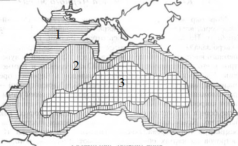0300azv4-1997-488x299.png