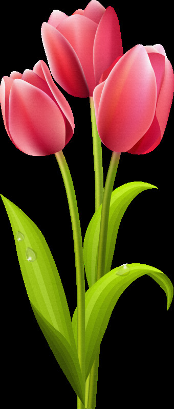 0300b0vf-c87c-340x800.jpg