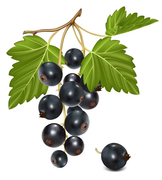 0300b13a-389a-540x600.jpg
