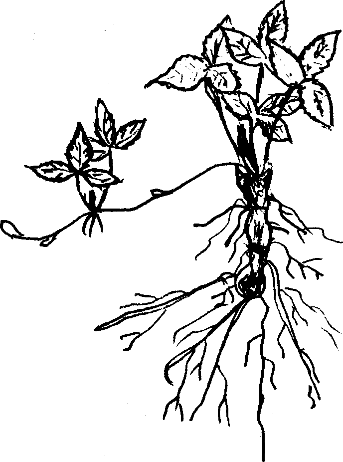 0300b14i-2076-688x926.png