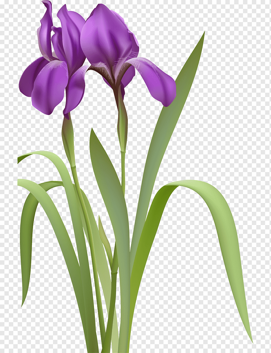 0300b156-a06d-920x1200.png