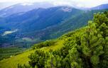 Карпаты (Украина) 2022: все самое лучшее для туристов - Tripadvisor