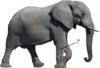 0300b2qy-321a-100x68.png