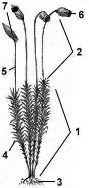 0300b54b-5904-175x368.jpg