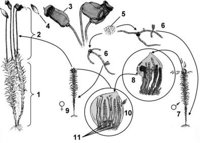 0300b56f-e7ed-396x285.jpg