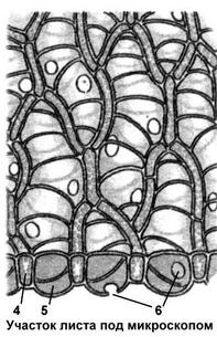 0300b589-3184-197x305.jpg